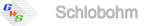 Logo von GWS Schlobohm