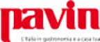 Logo von Pavin AG