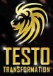 Logo von TESTO TRANSFORMATION Inh. Murat Topal