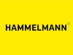 Logo von Hammelmann GmbH