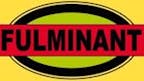 Logo von Fulminant GmbH